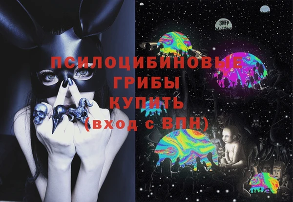 ECSTASY Магадан