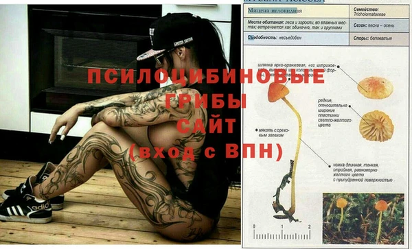 молекула духа Майский
