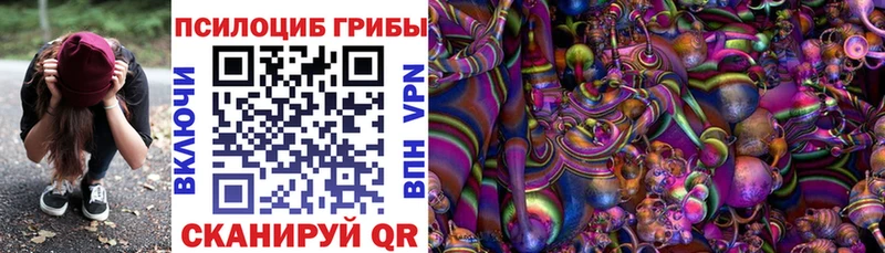 Галлюциногенные грибы GOLDEN TEACHER  Купить  Всеволожск 