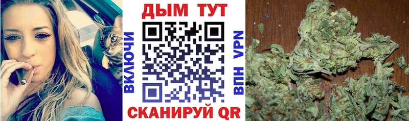 Каннабис конопля  Купить закладки  Всеволожск 